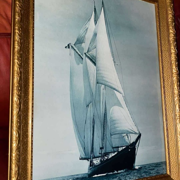 Vintage blue nose 2 antique framed photo - Picture 6 of 6